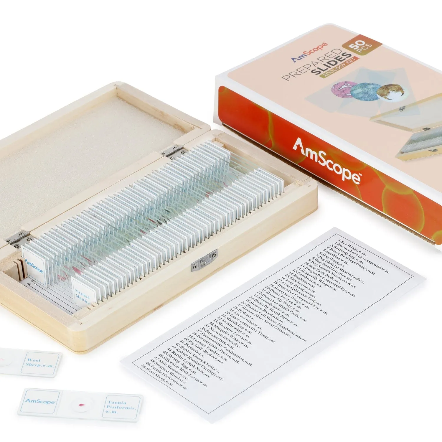 AmScope 50pc Prepared Glass Microscope Zoology Slide Specimens with Wooden Case