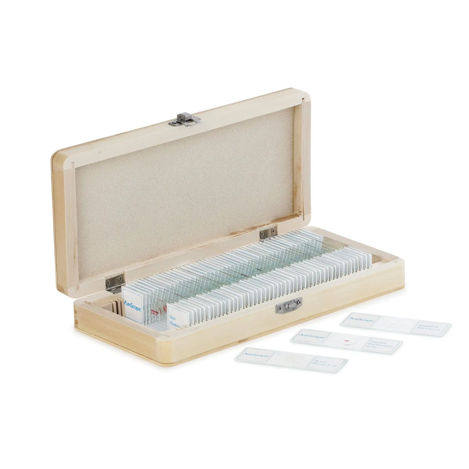 AmScope 50pc Prepared Glass Microscope Zoology Slide Specimens with Wooden Case