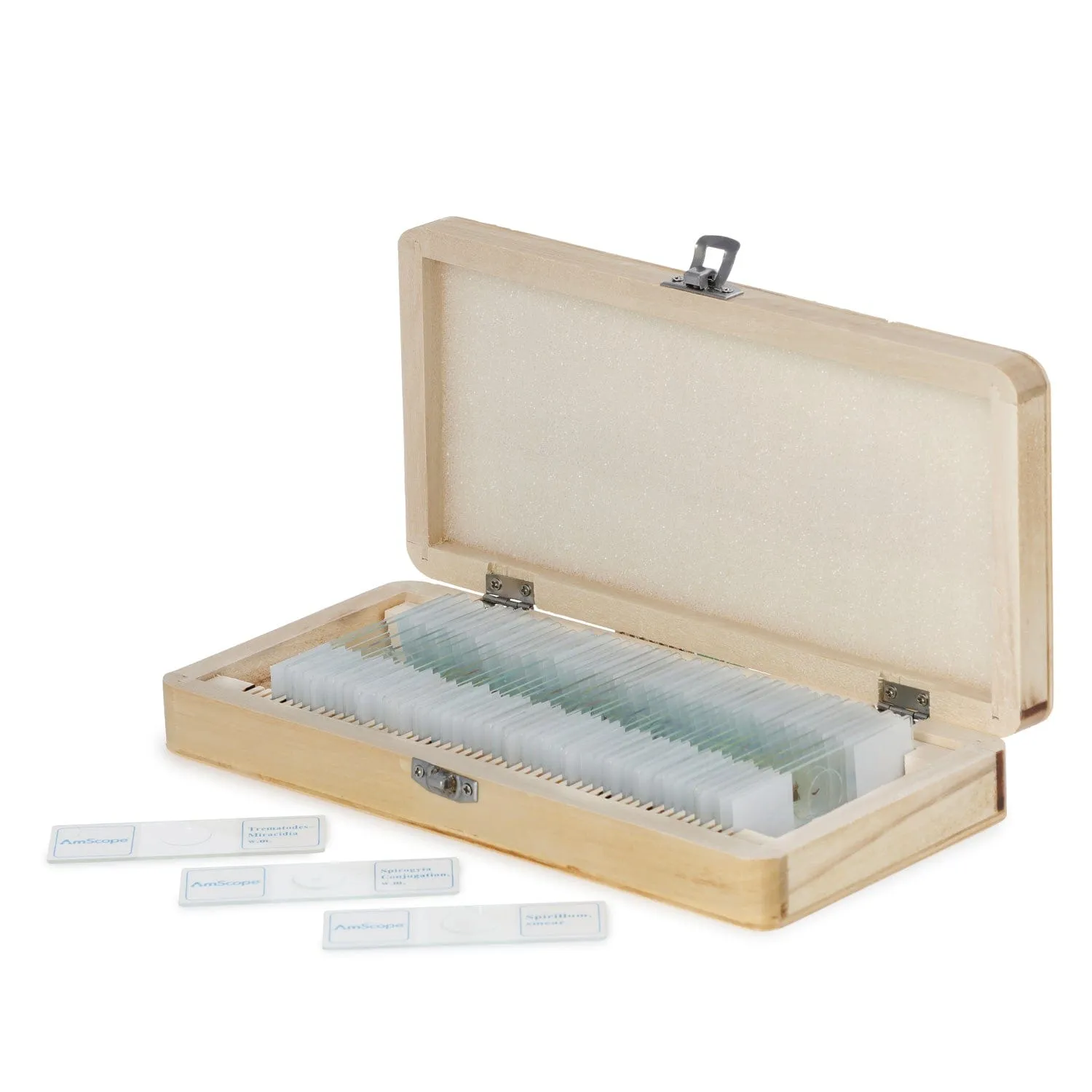 AmScope 50pc Prepared Glass Microscope Zoology Slide Specimens with Wooden Case
