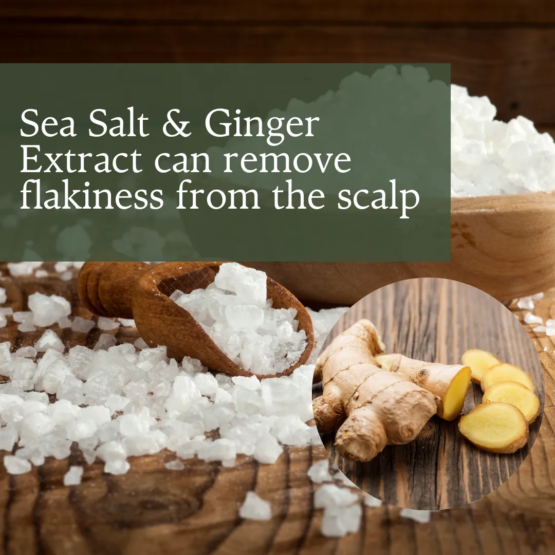 AS - Ultimate Ginger Hair Care Combo Pack - Herbishh