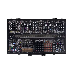 Black and Gold Shared System Plus
