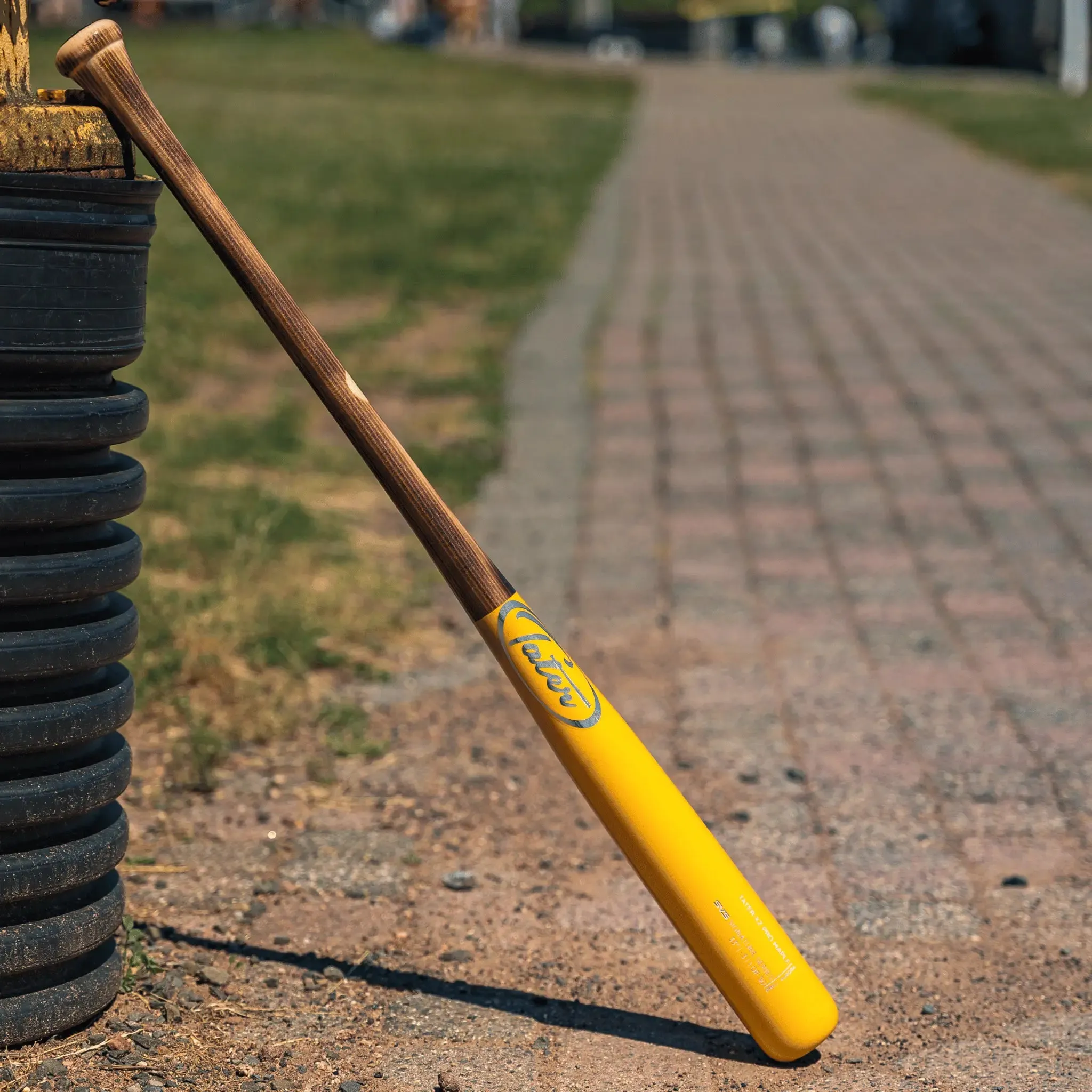 Canary Flame: Project Aurora Game Bat