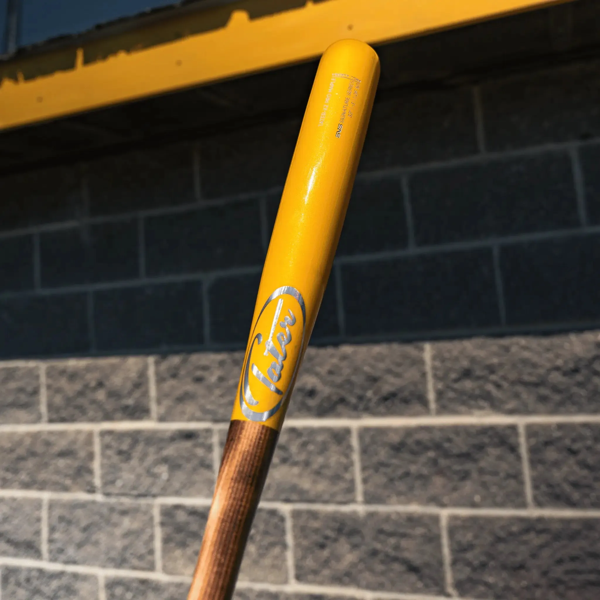 Canary Flame: Project Aurora Game Bat