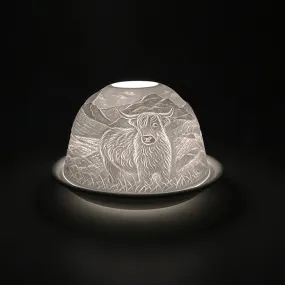 Cello Tealight Dome - Highland Cow