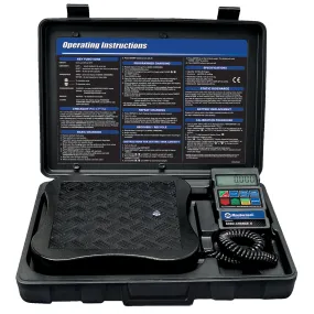 Economy Digital Field Scale
