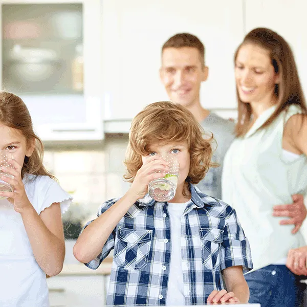 ProHome Whole House Water Filter Effectively Removes 220  Contaminants including Fluoride by ProOne