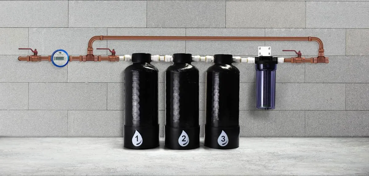 ProHome Whole House Water Filter Effectively Removes 220  Contaminants including Fluoride by ProOne