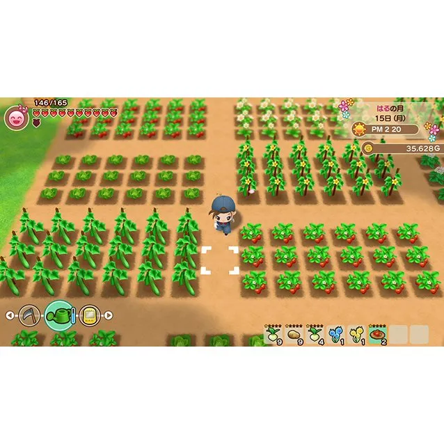 PS4 牧場物語 重聚礦石鎮 Story of Seasons: Friends of Mineral Town (Chinese)