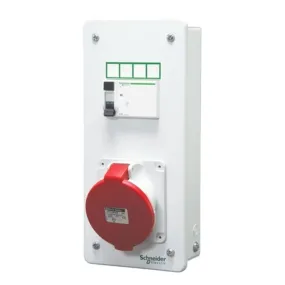 Schneider Single Door Industrial P&S Unit IP30