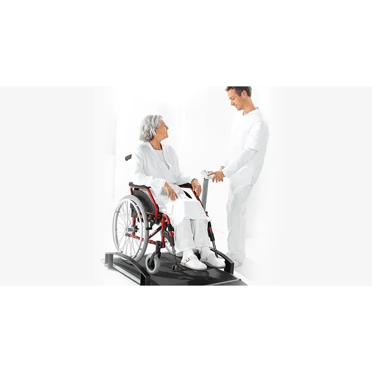 Seca EMR Validated Electronic Wheelchair Scale