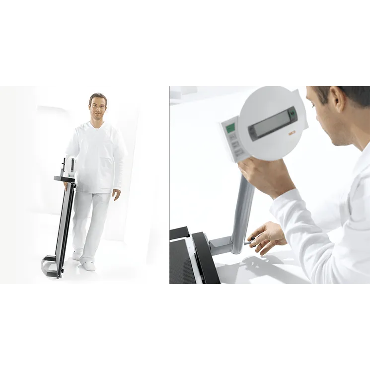 Seca EMR Validated Electronic Wheelchair Scale